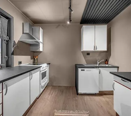 Fin I Naerheten Av Sentrum トロムソ